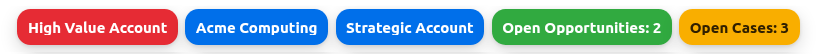 Salesforce Record Indicator account rule configuration examples.
